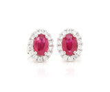 1.20ctw Oval Ruby and 0.50ctw Diamond Frame Stud Earrings in 14K